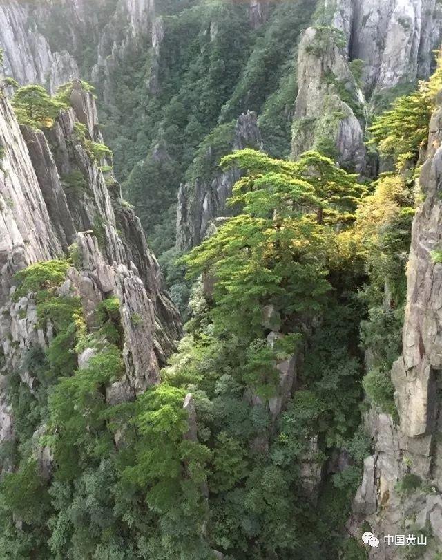探索智慧的乐园——